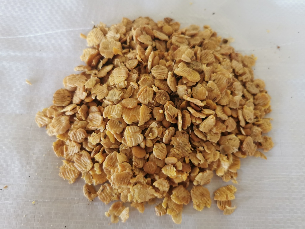 压片黄豆