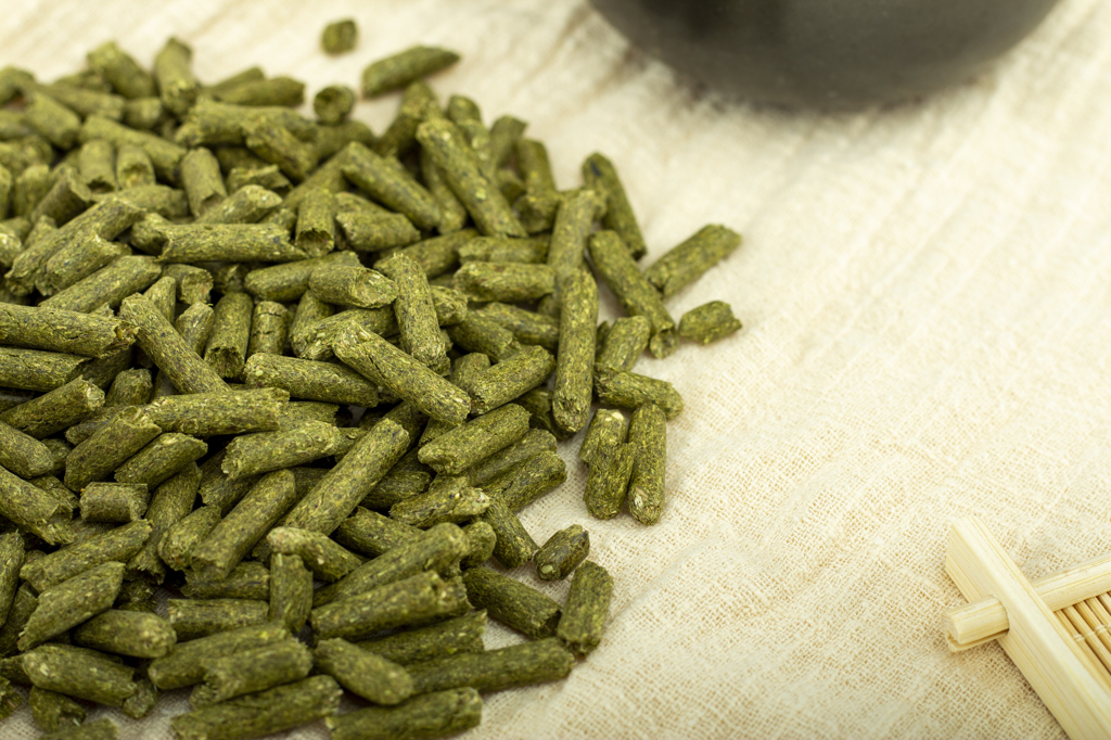 Chinese wildrye pellets