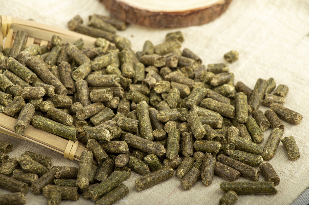 Alfalfa pellets