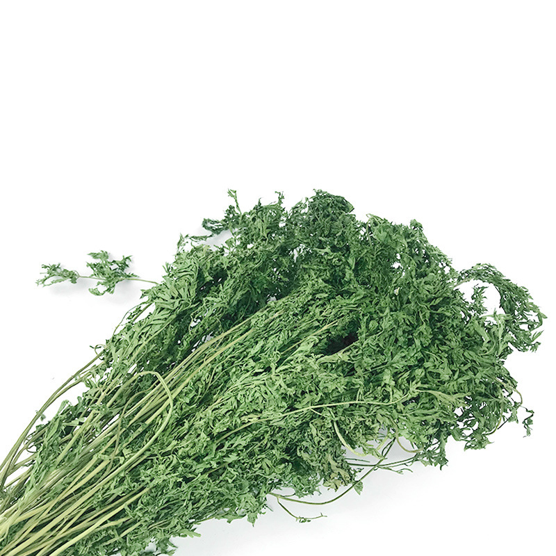 Dried carrot greens