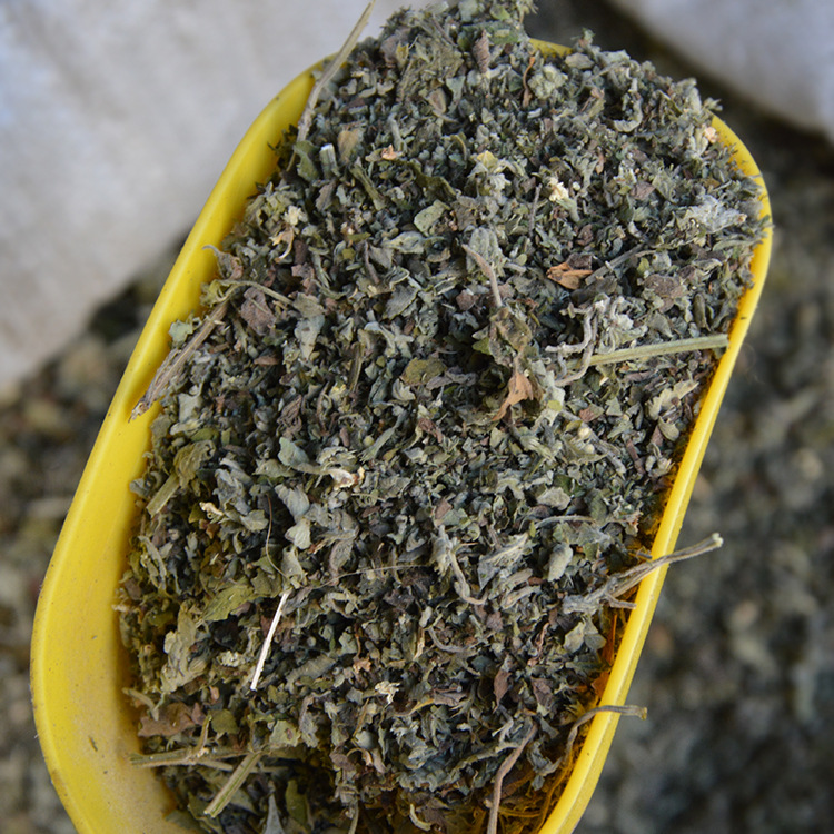 薄荷